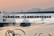 什么是哺乳动物（什么是哺乳动物中的潜水冠军）