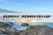 黑色德国牧羊犬（黑色德国牧羊犬是什么品种）