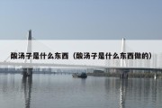 酸汤子是什么东西（酸汤子是什么东西做的）