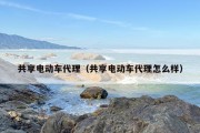 共享电动车代理（共享电动车代理怎么样）