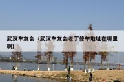 武汉车友会（武汉车友会老丁修车地址在哪里啊）