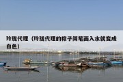 玲珑代理（玲珑代理的粽子简笔画入水就变成白色）
